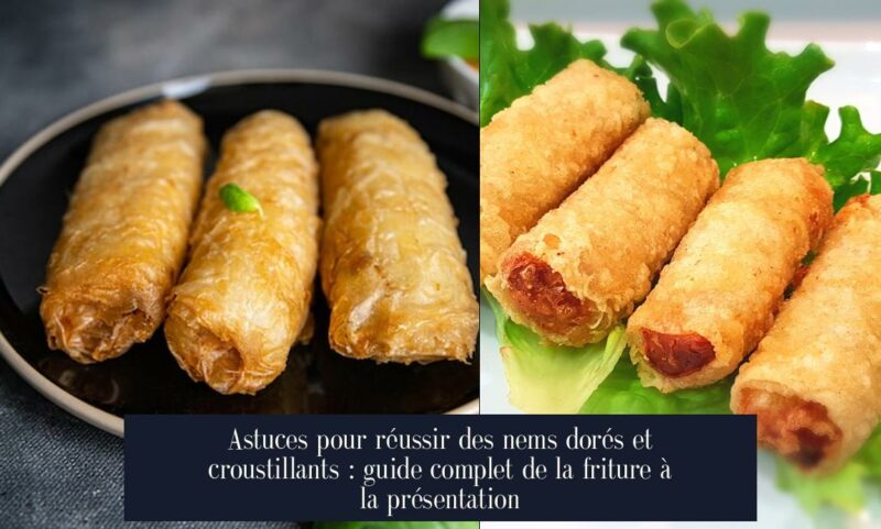 Astuces pour réussir des nems dorés et croustillants : guide complet de la friture à la présentation