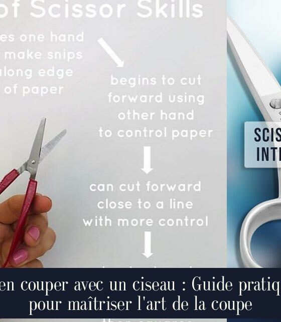 Bien couper avec un ciseau : Guide pratique pour maîtriser l'art de la coupe
