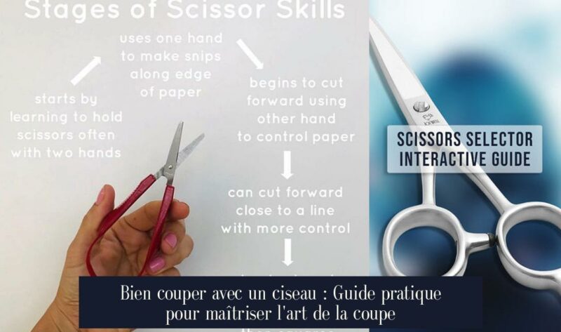 Bien couper avec un ciseau : Guide pratique pour maîtriser l'art de la coupe