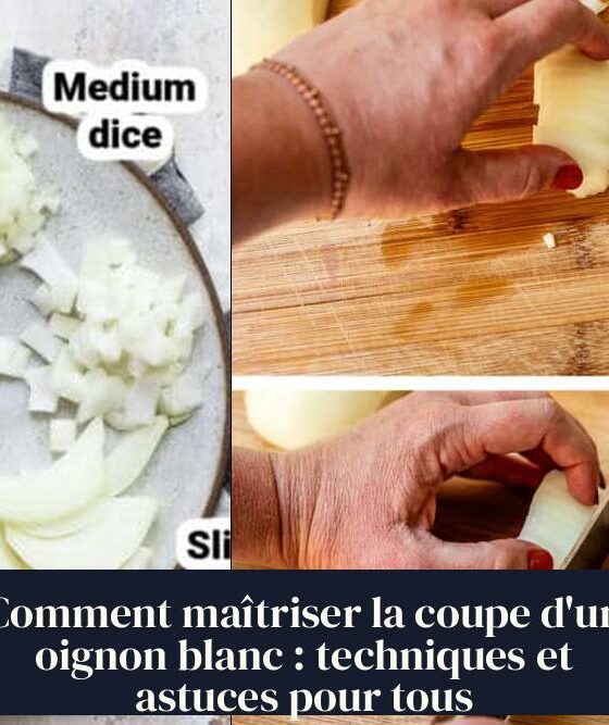 Comment maîtriser la coupe d'un oignon blanc : techniques et astuces pour tous