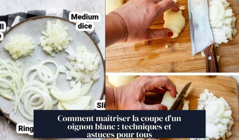 Comment maîtriser la coupe d'un oignon blanc : techniques et astuces pour tous