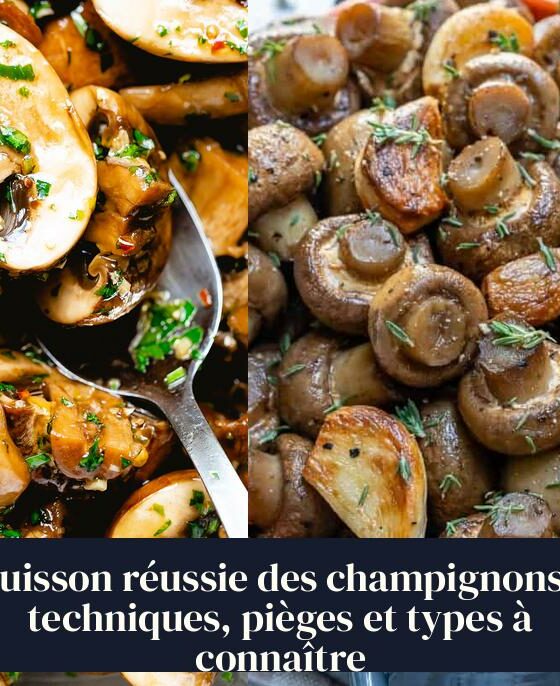 Cuisson réussie des champignons : techniques, pièges et types à connaître