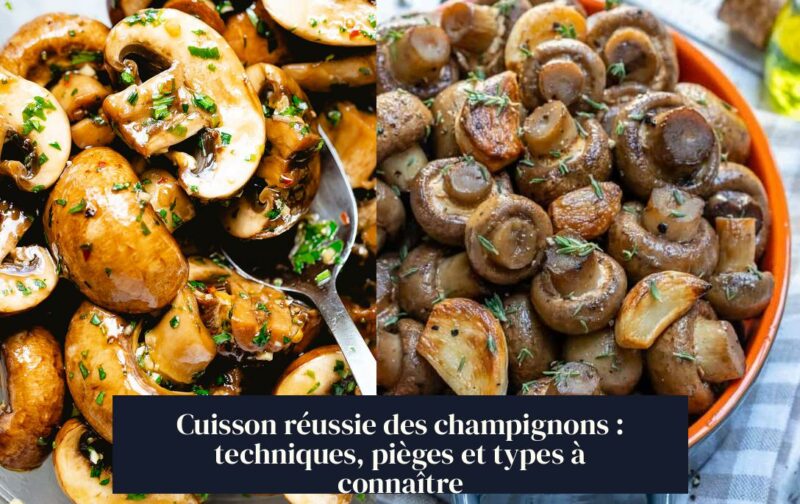 Cuisson réussie des champignons : techniques, pièges et types à connaître