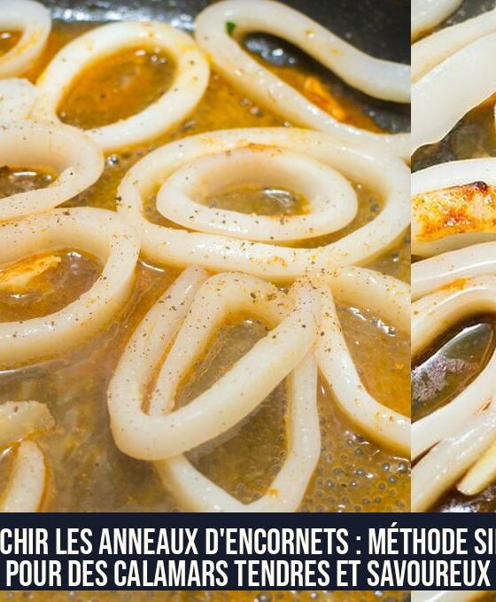 Blanchir les anneaux d'encornets : méthode simple pour des calamars tendres et savoureux