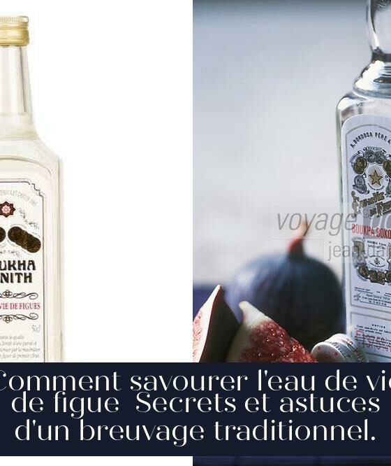 Comment savourer l'eau de vie de figue Secrets et astuces d'un breuvage traditionnel.