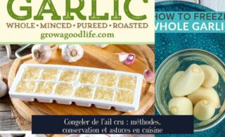 Congeler de l'ail cru : méthodes, conservation et astuces en cuisine