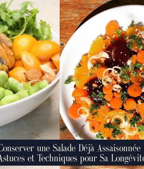 Conserver une Salade Déjà Assaisonnée : Astuces et Techniques pour Sa Longévité