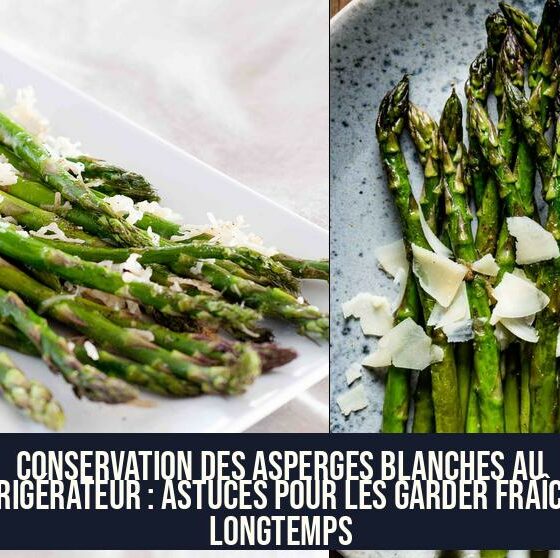 Conservation des asperges blanches au réfrigérateur : astuces pour les garder fraîches longtemps