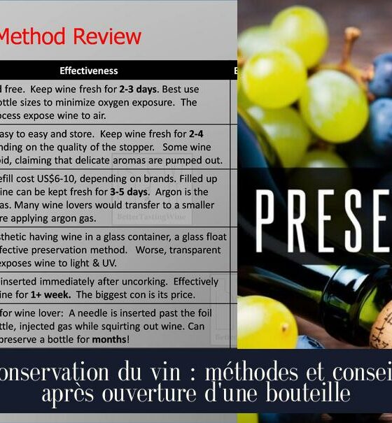 Conservation du vin : méthodes et conseils après ouverture d'une bouteille