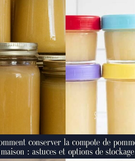 Comment conserver la compote de pommes maison : astuces et options de stockage