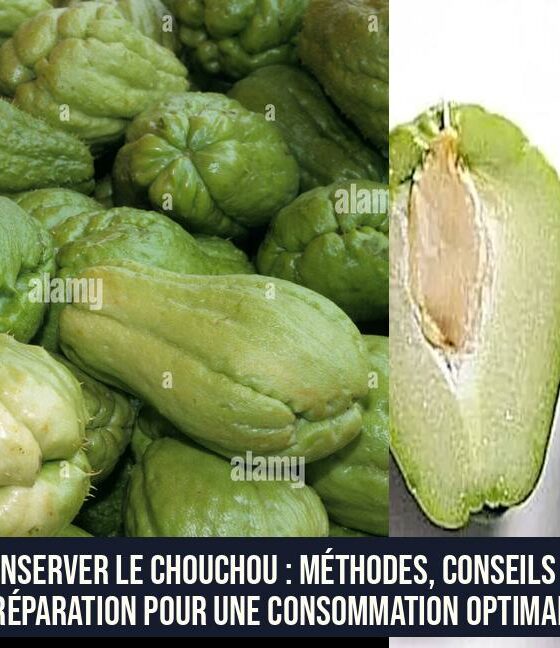 Conserver le chouchou : méthodes, conseils et préparation pour une consommation optimale