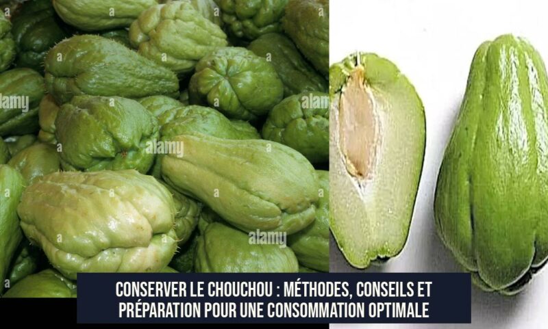 Conserver le chouchou : méthodes, conseils et préparation pour une consommation optimale