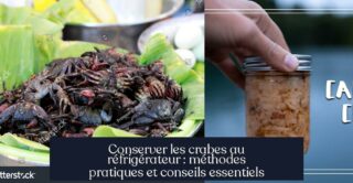 Conserver les crabes au réfrigérateur : méthodes pratiques et conseils essentiels