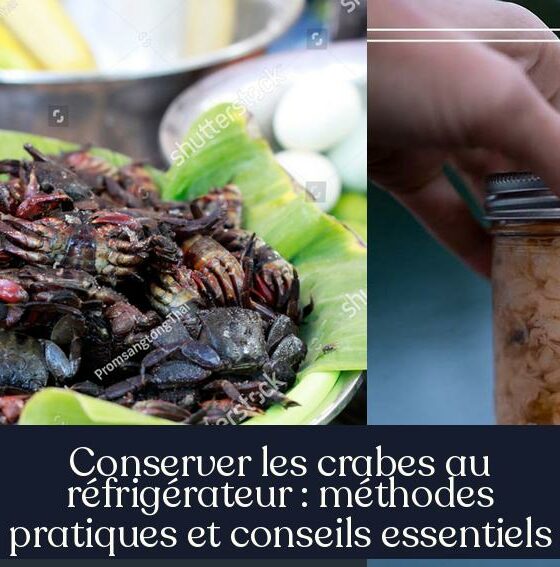 Conserver les crabes au réfrigérateur : méthodes pratiques et conseils essentiels