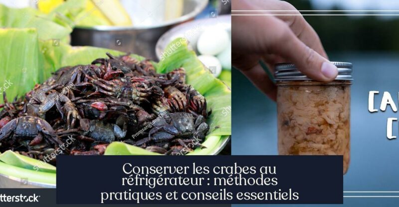 Conserver les crabes au réfrigérateur : méthodes pratiques et conseils essentiels