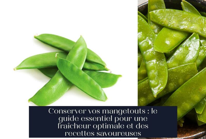 Conserver vos mangetouts : le guide essentiel pour une fraîcheur optimale et des recettes savoureuses