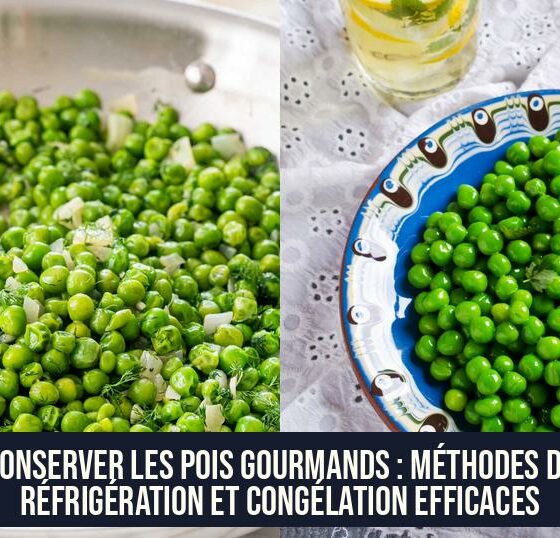 Conserver les pois gourmands : méthodes de réfrigération et congélation efficaces