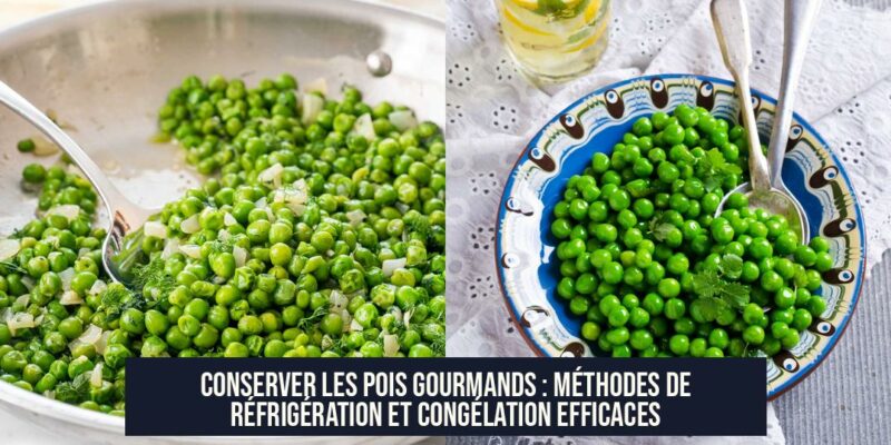 Conserver les pois gourmands : méthodes de réfrigération et congélation efficaces