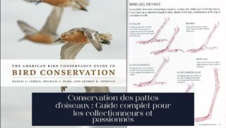 Conservation des pattes d'oiseaux : Guide complet pour les collectionneurs et passionnés