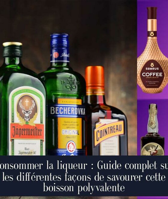 Consommer la liqueur : Guide complet sur les différentes façons de savourer cette boisson polyvalente