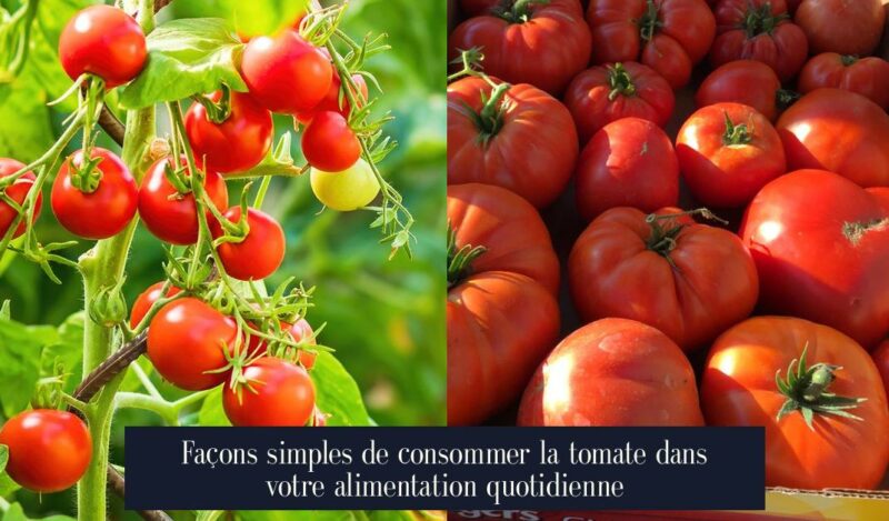 Façons simples de consommer la tomate dans votre alimentation quotidienne