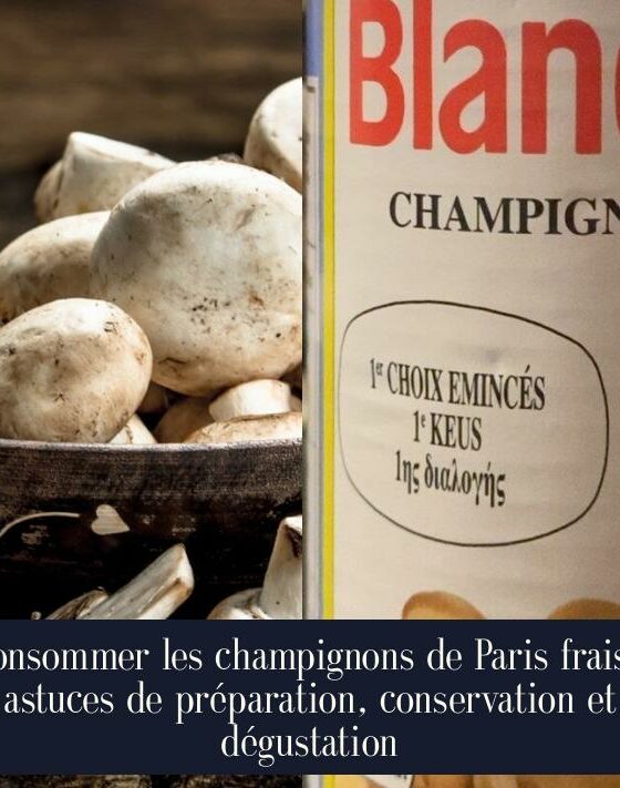 Consommer les champignons de Paris frais : astuces de préparation, conservation et dégustation