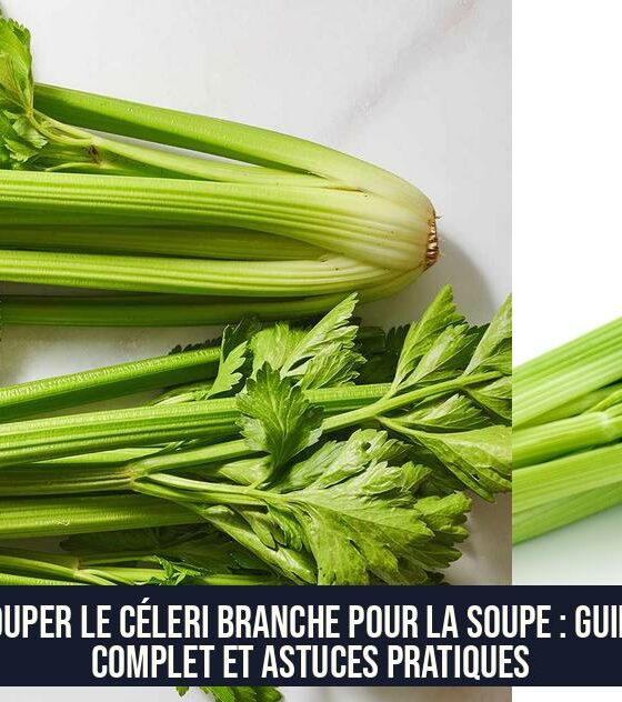 Couper le Céleri Branche pour la Soupe : Guide Complet et Astuces Pratiques