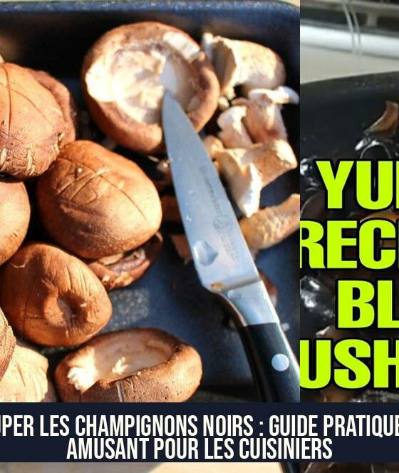 Couper les champignons noirs : Guide pratique et amusant pour les cuisiniers