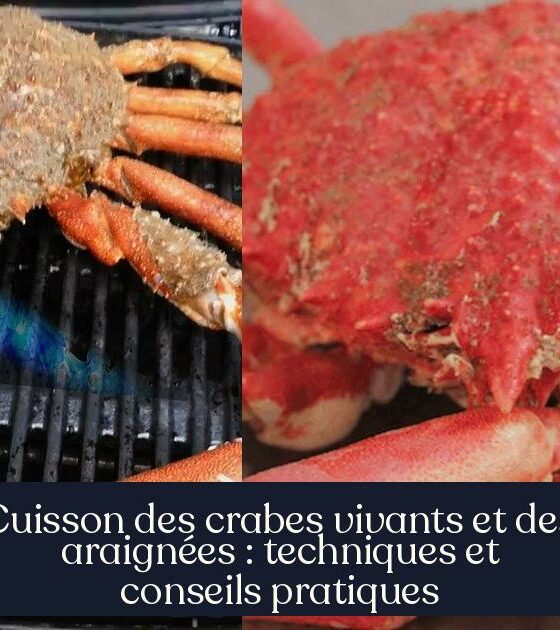 Cuisson des crabes vivants et des araignées : techniques et conseils pratiques