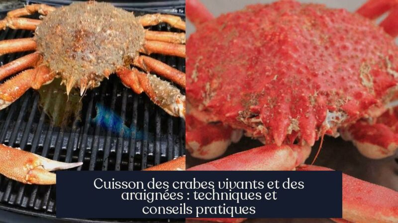 Cuisson des crabes vivants et des araignées : techniques et conseils pratiques