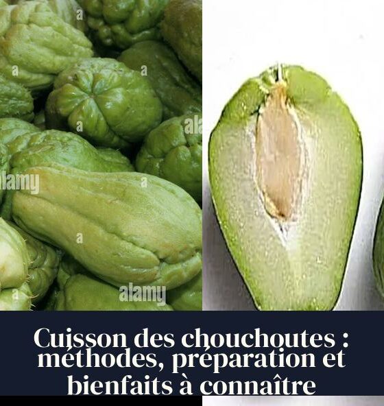 Cuisson des chouchoutes : méthodes, préparation et bienfaits à connaître