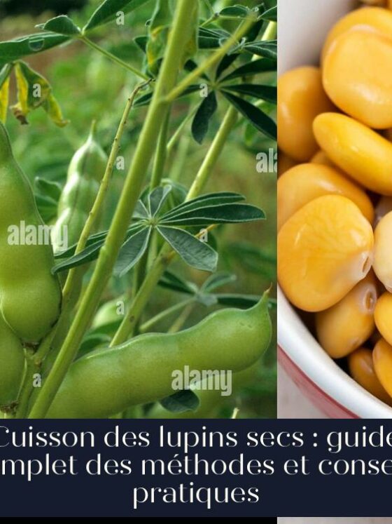 Cuisson des lupins secs : guide complet des méthodes et conseils pratiques