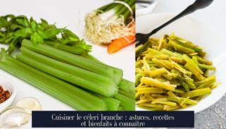 Cuisiner le céleri branche : astuces, recettes et bienfaits à connaître