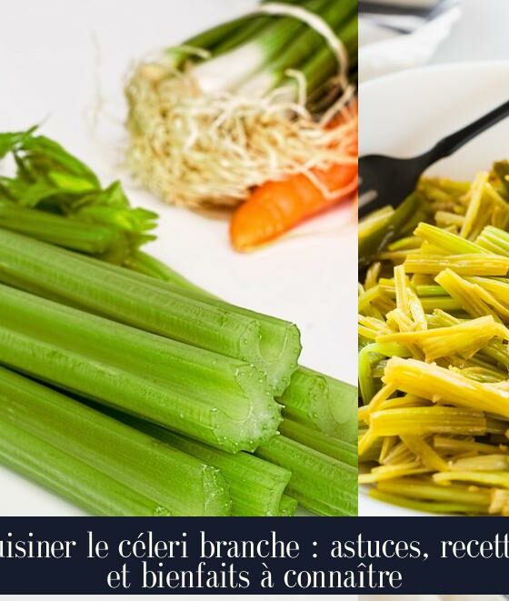 Cuisiner le céleri branche : astuces, recettes et bienfaits à connaître