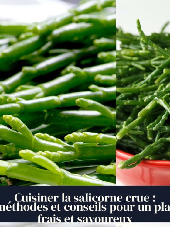 Cuisiner la salicorne crue : méthodes et conseils pour un plat frais et savoureux