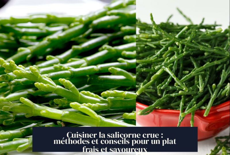 Cuisiner la salicorne crue : méthodes et conseils pour un plat frais et savoureux