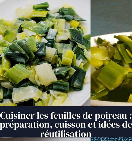 Cuisiner les feuilles de poireau : préparation, cuisson et idées de réutilisation