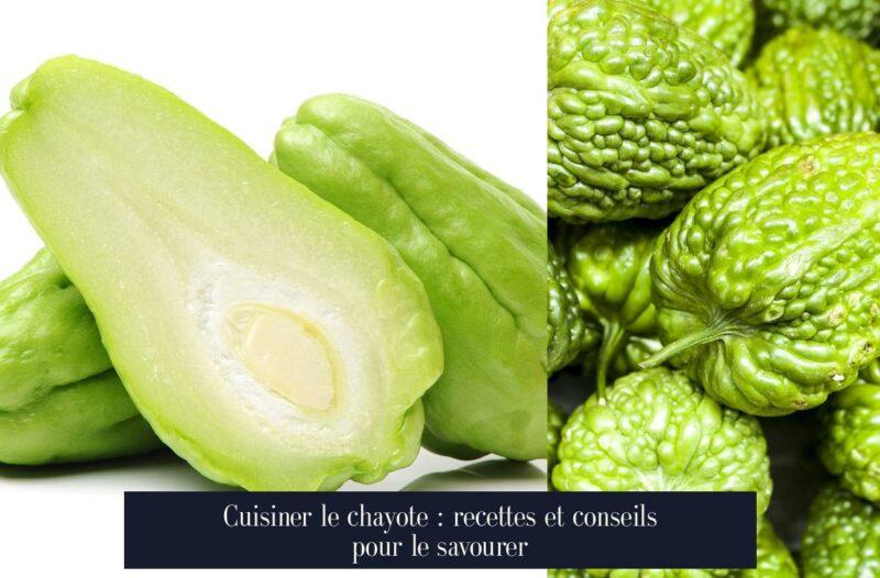 Cuisiner le chayote : recettes et conseils pour le savourer