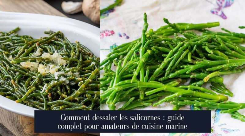 Comment dessaler les salicornes : guide complet pour amateurs de cuisine marine