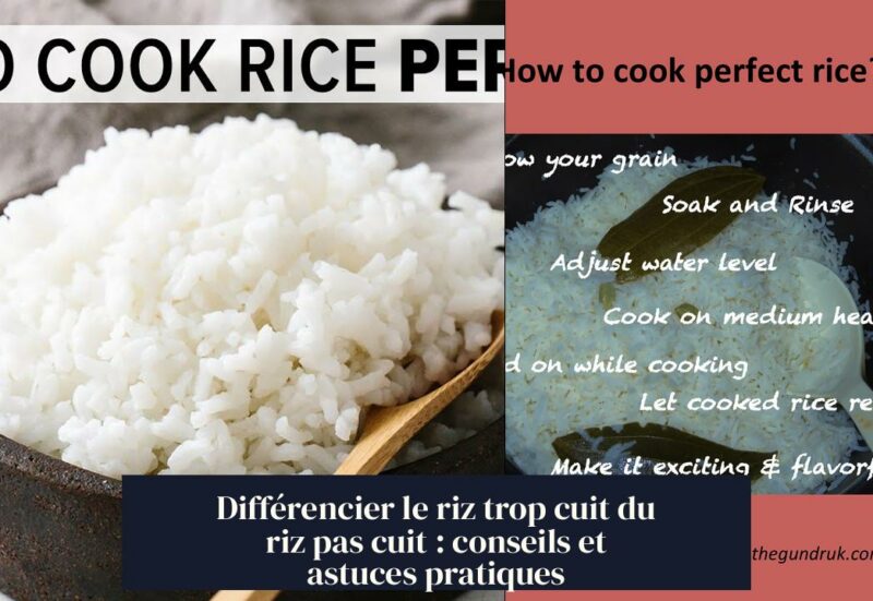 Différencier le riz trop cuit du riz pas cuit : conseils et astuces pratiques
