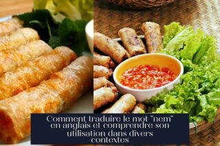 Comment traduire le mot "nem" en anglais et comprendre son utilisation dans divers contextes