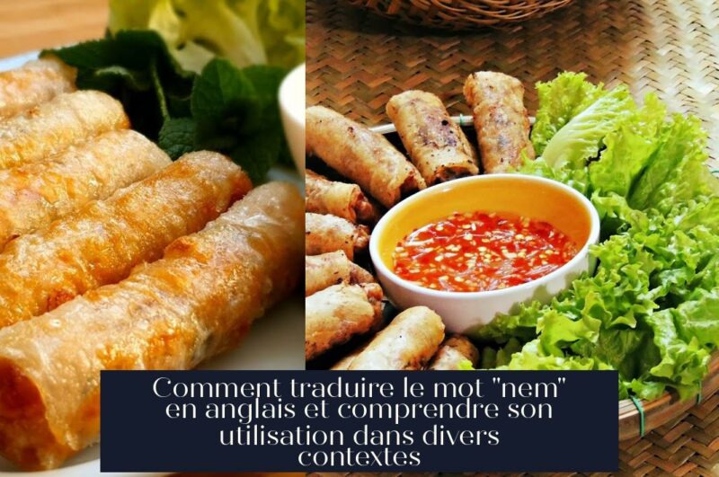 Comment traduire le mot "nem" en anglais et comprendre son utilisation dans divers contextes
