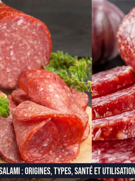 Salami : Origines, types, santé et utilisation