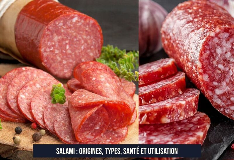 Salami : Origines, types, santé et utilisation