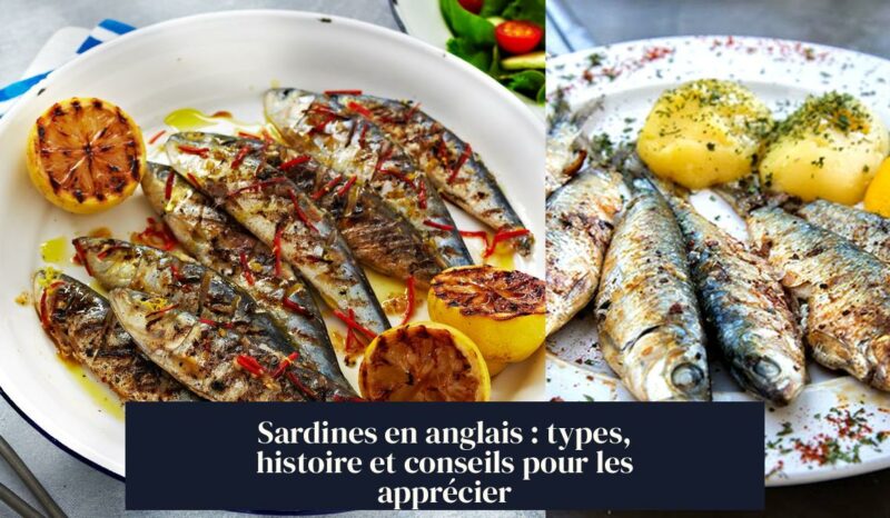 Sardines en anglais : types, histoire et conseils pour les apprécier