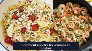 Comment appeler les scampis en anglais