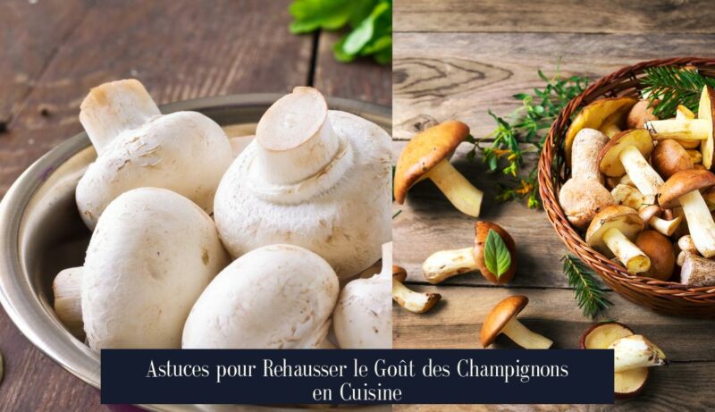 Astuces pour Rehausser le Goût des Champignons en Cuisine