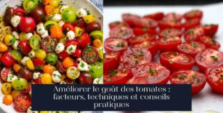Améliorer le goût des tomates : facteurs, techniques et conseils pratiques