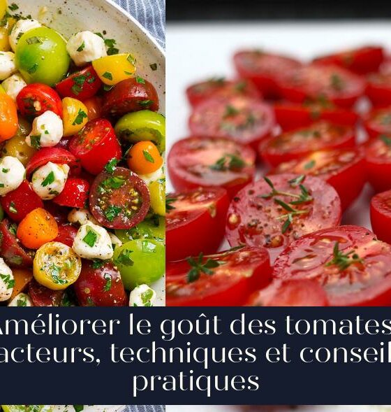 Améliorer le goût des tomates : facteurs, techniques et conseils pratiques