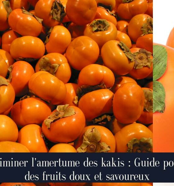 Éliminer l'amertume des kakis : Guide pour des fruits doux et savoureux